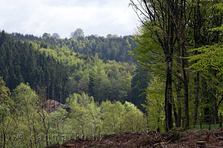 Vanaf het wandelpad een schitterend uitzicht over de Ardennen bij de Warche