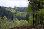 Vanaf het wandelpad een schitterend uitzicht over de Ardennen bij de Warche