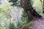 Een mooie doorkijk naar de Warche in de Ardennen