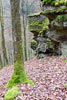 Een van de vele schitterende rotsformaties van de Crêtes de Frahan in België