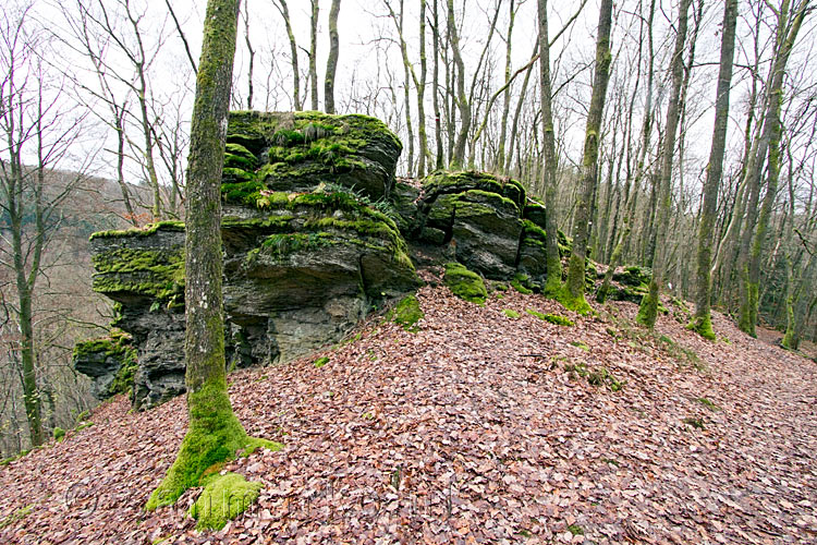 Wandelend tussen de rotsen en door de bossen over de Crêtes de Frahan bij Frahan
