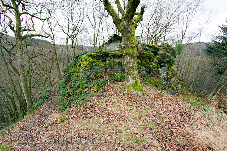 Begroeide rotsen van de Crêtes de Frahan tijdens de wandeling bij Rochehaut