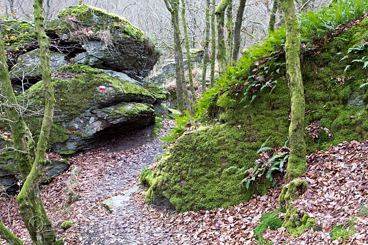 Het wandelpad tussen de mooie rotsen van Crêtes de Frahan bij Rochehaut