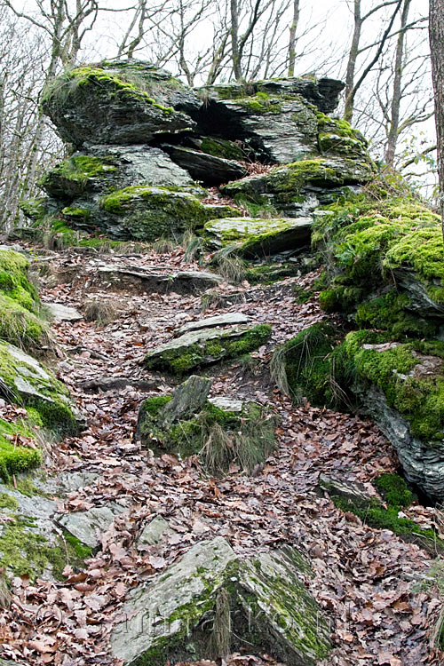 Afdalend over de wandelpaden over de Crêtes de Frahan tussen Frahan en Poupehan