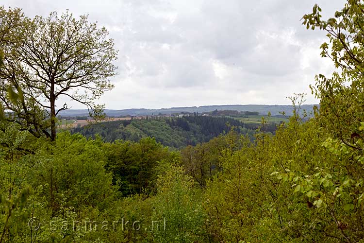 Een mooi uitzicht over de Ardennen vanaf het wandelpad tussen Samrée en La Roche-en-Ardenne