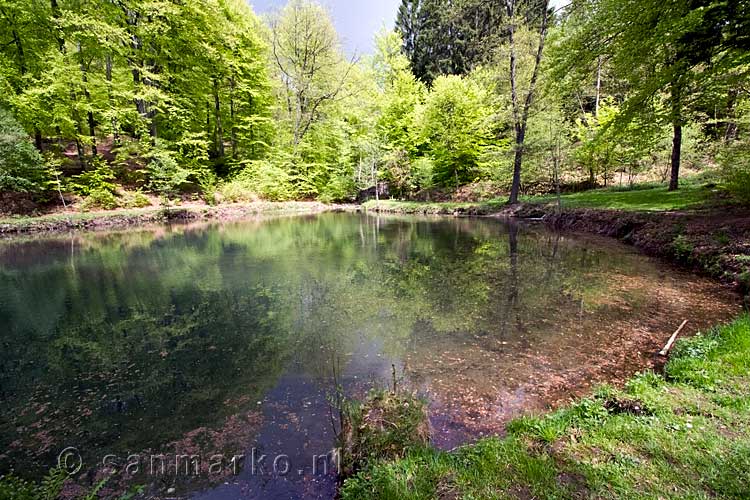 Een grote picknickplaats langs het wandelpad tussen La Roche-en-Ardenne en Samrée