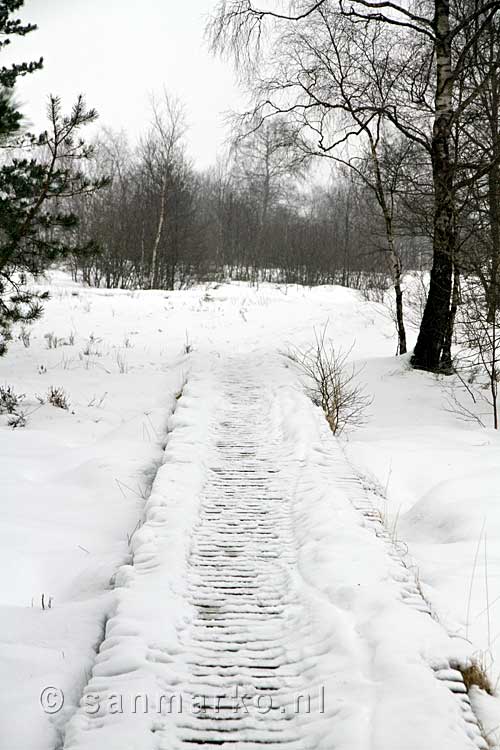 In de winter wandelen over het vlonder pad over de Malchamps bij Spa