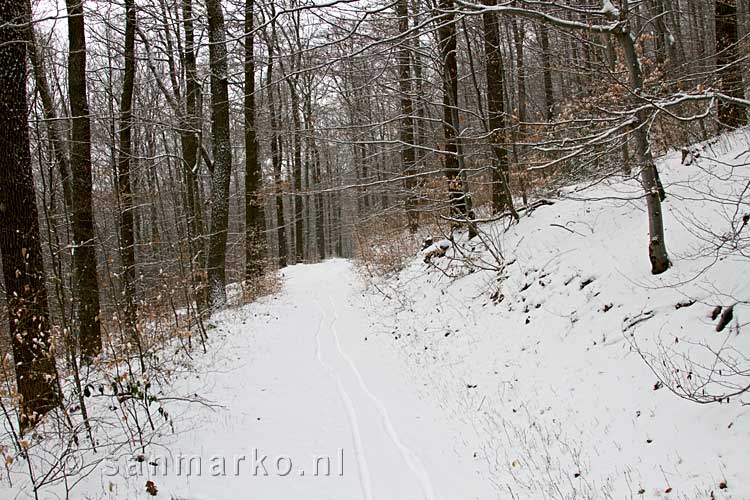 Wandelen door de sneeuw door de Bois de Staneux bij Spa in de Ardennen