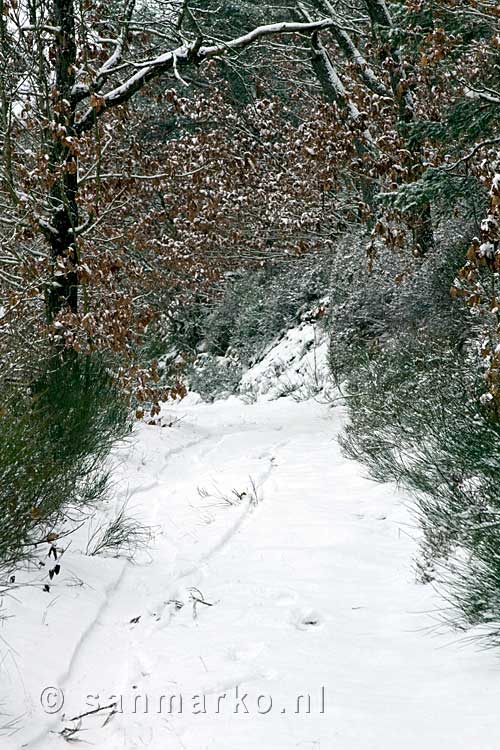 Het wandelpad met veel sneeuw door de Bois de Staneux bij Spa in België
