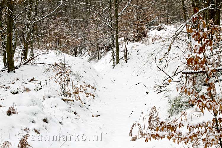 Wandelen in de winter door de Bois de Staneux bij Spa in België
