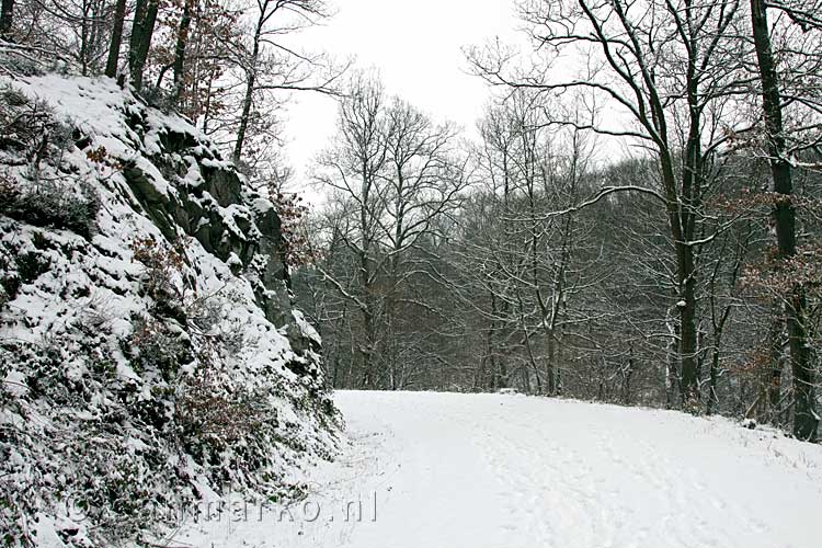 Een van de brede wandelpaden door de Bois de Staneux bij Spa in de Ardennen