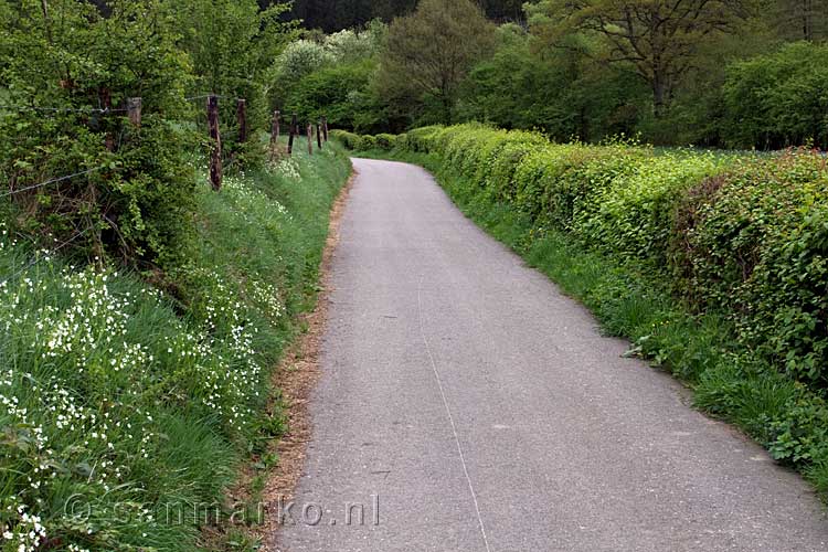 Het wandelpad bij Challe over de Forellen route bij Stavelot