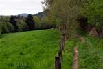 Een leuk wandelpad langs een weiland in de Ardennen bij Stavelot