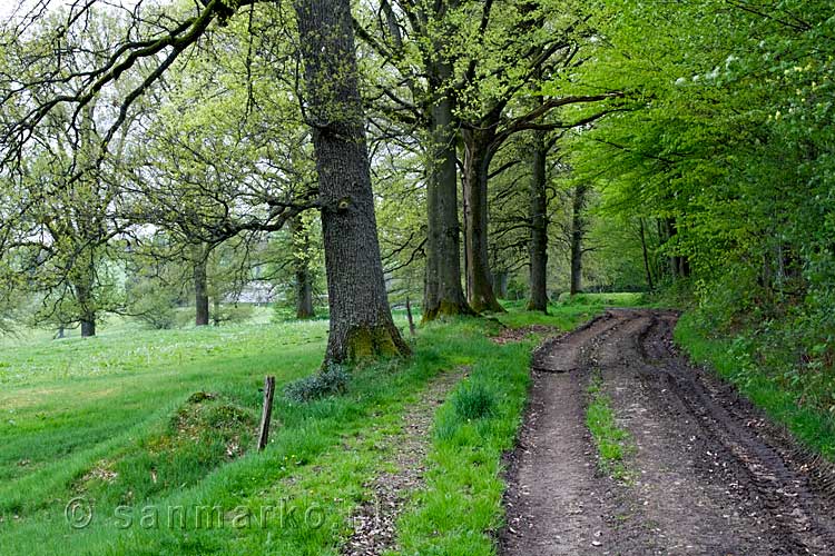 Over een zandweg langs weilanden af en toe een mooi uitzicht