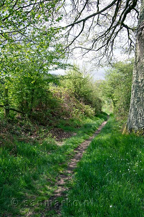 De Forellen route heeft ook leuke klein wandelpaden bij Stavelot