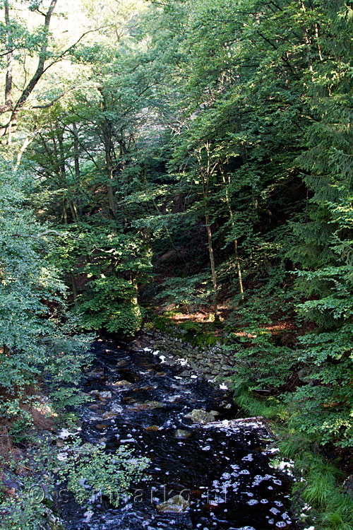 Een eerste blik op de Getzbach in de Ardennen in België