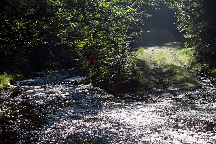 De oversteek voor auto's over de Getzbach in de Hoge Venen in de Ardennen