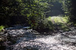 De oversteek voor auto's over de Getzbach in de Hoge Venen in de Ardennen