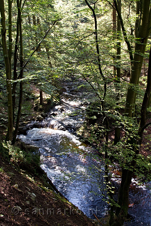 Een kleine waterval in de Getzbach tijdens onze wandeling in de Hoge Venen in België