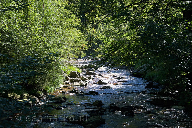 Een laatste blik op de Getzbach in de Hoge Venen in de Ardennen