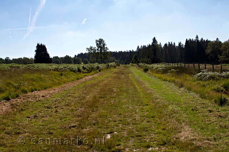 De onverharde weg richting Königliches Torfmoor in de Ardennen in België