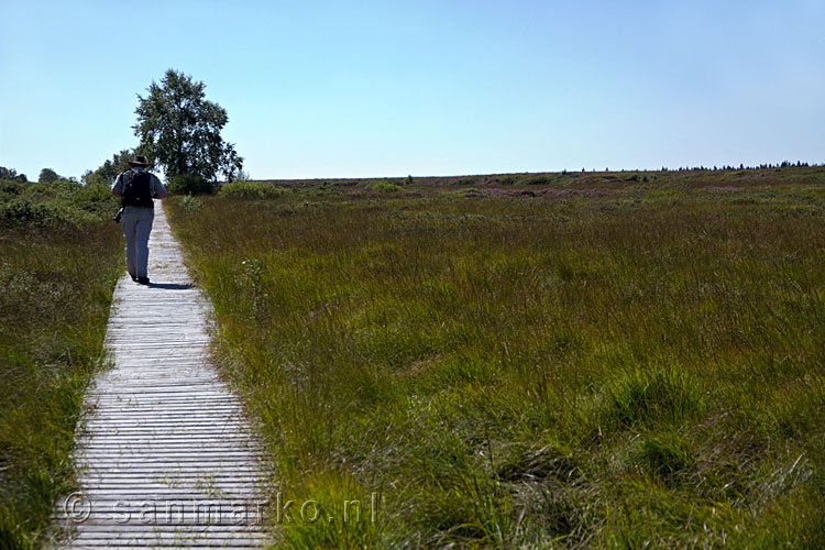 De mooie natuur van Königliches Torfmoor in de Hoge Venen