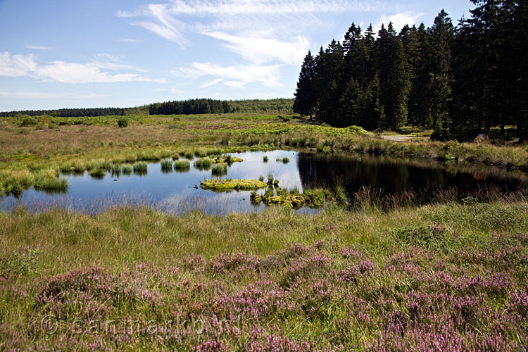 Vlak aan het eind van onze wandeling over Königliches Torfmoor een groot turf meer