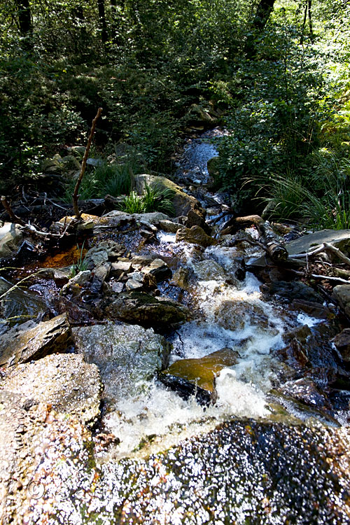 Een waterval over het wandelpad richting de Hill tijdens onze wandeling over de Hoge Venen