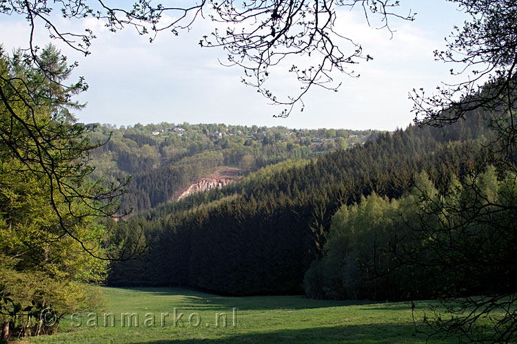 Uitgestrekte dennen bossen en weilanden in de Hoge Venen in België