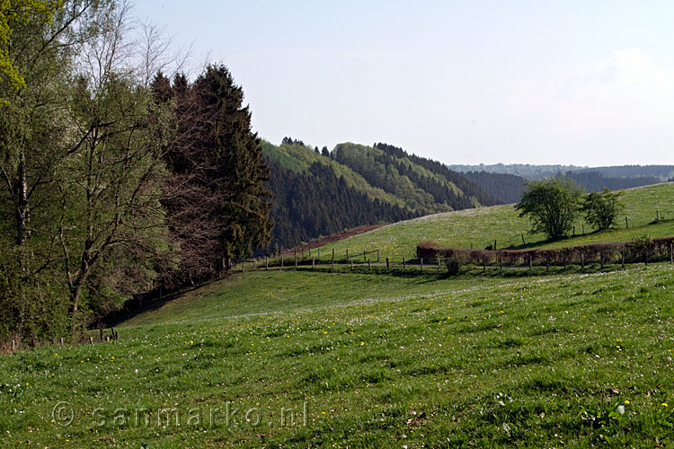 Uitzicht tijdens de wandeling langs Trôs Marets, Bayehon en de Warche