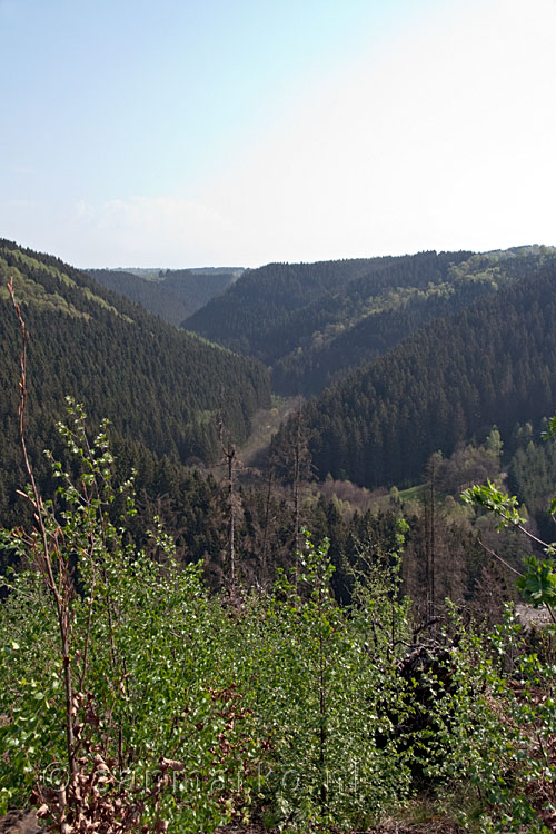 Het dal van de Warche bij Malmedy in de Ardennen in België