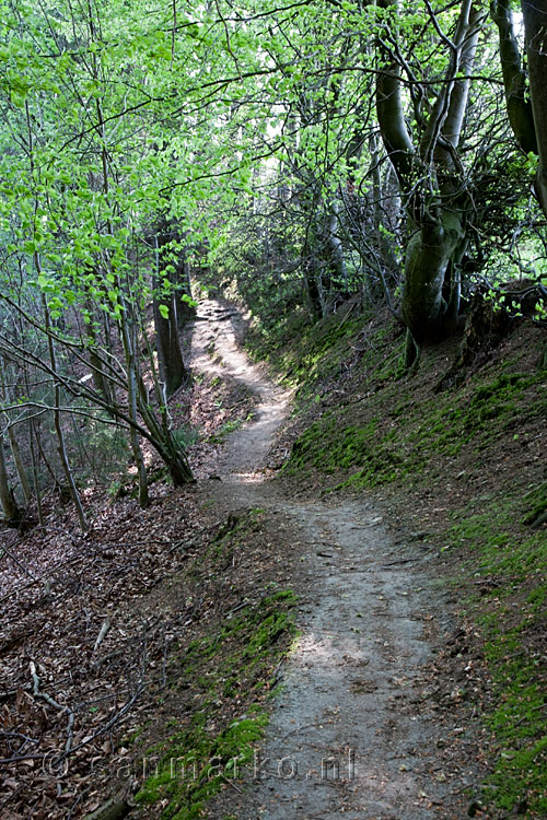 Het wandelpad van Chemin des Crêtes afdalend naar de Warche