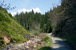 De mooie natuur rondom de Bayehon in Ardennen in België