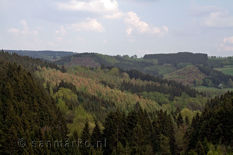 Een laatste uitzicht over de Ardennen bij Malmedy in België