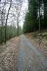 Het wandelpad door de bossen bij Vencimont richting Sart-Custinne in de Ardennen