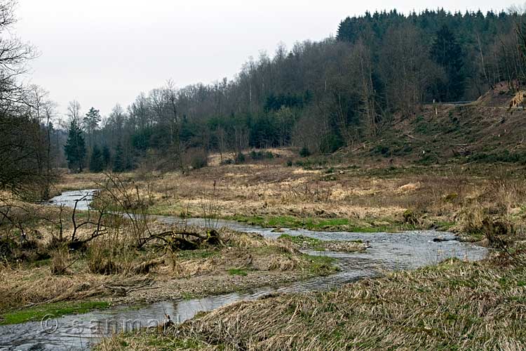 Een mooie kronkelde La Houille in het landschap van de Ardennen