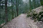 Het wandelpad door het bos langs de La Houille richting Vencimont in de Ardennen