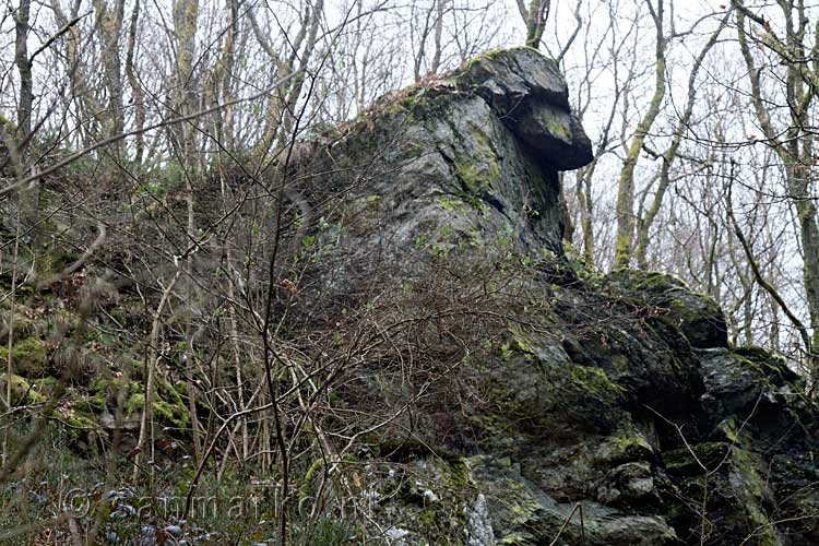 De Hondenkop tijdens de wandeling bij Vencimont in de Ardennen