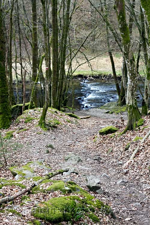 Het wandelpad richting de oever van de La Houille in de Ardennen