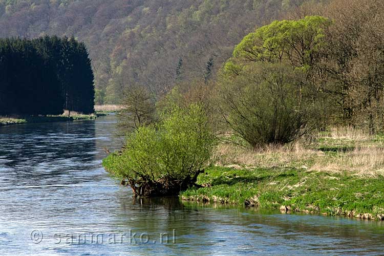 Uitzicht op de Semois vanaf het wandelpad bij Vresse-sur-Semois