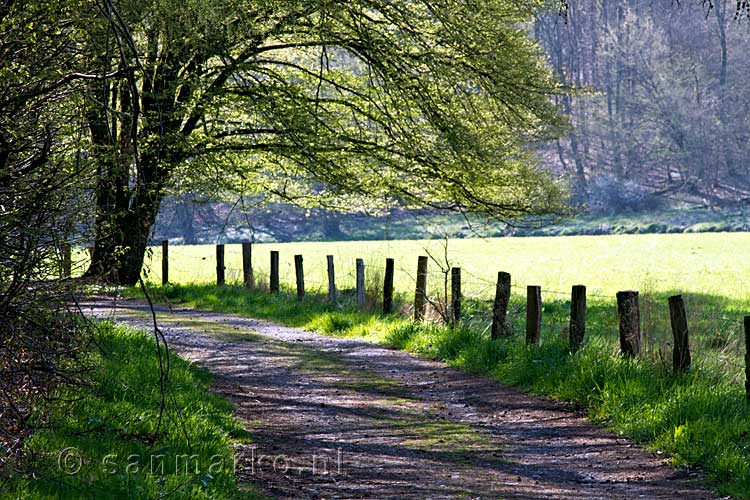 Het wandelpad langs de weilanden aan de oever van de Semois in België