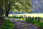 Het wandelpad langs de weilanden aan de oever van de Semois in België