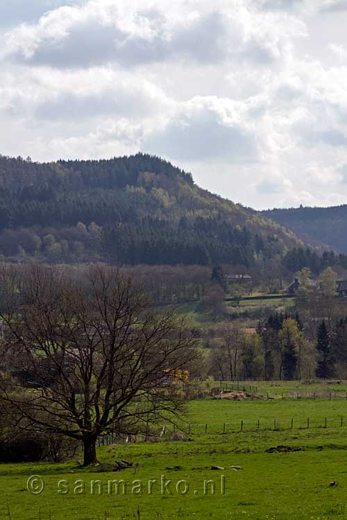 Uitzicht vanaf het wandelpad op de Ardennen bij Chairière langs de Semois