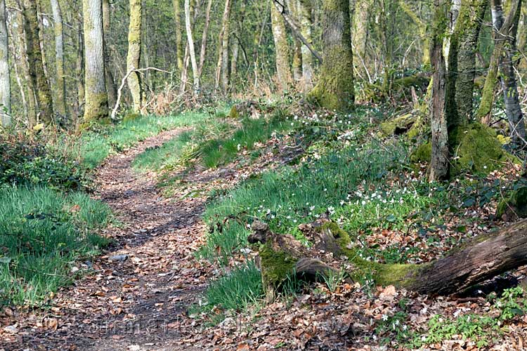 Een leuk wandelpad van Chairière naar Vresse-sur-Semois in de Ardennen