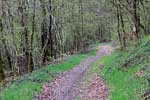 Wandelend door de mooie bossen tussen Vresse-sur-Semois en Membre