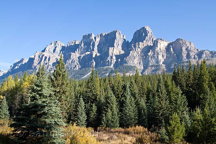 Castle Mountain aan de Bow Valley Parkway bij Banff