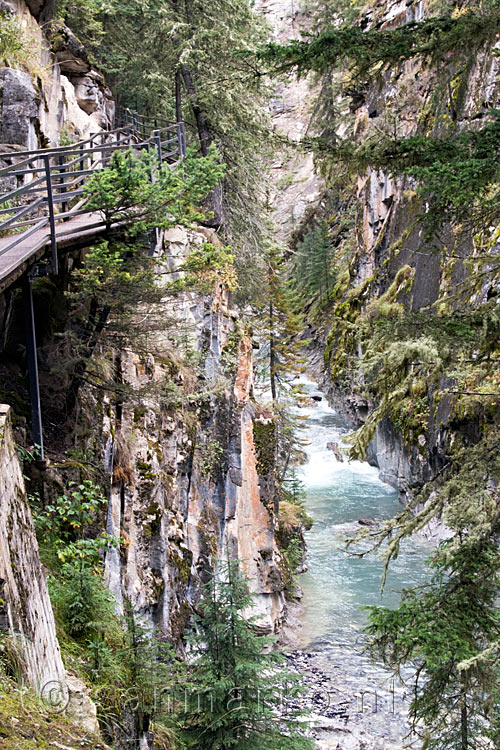 Het wandelpad aan het begin van de wandeling door Johnston Canyon