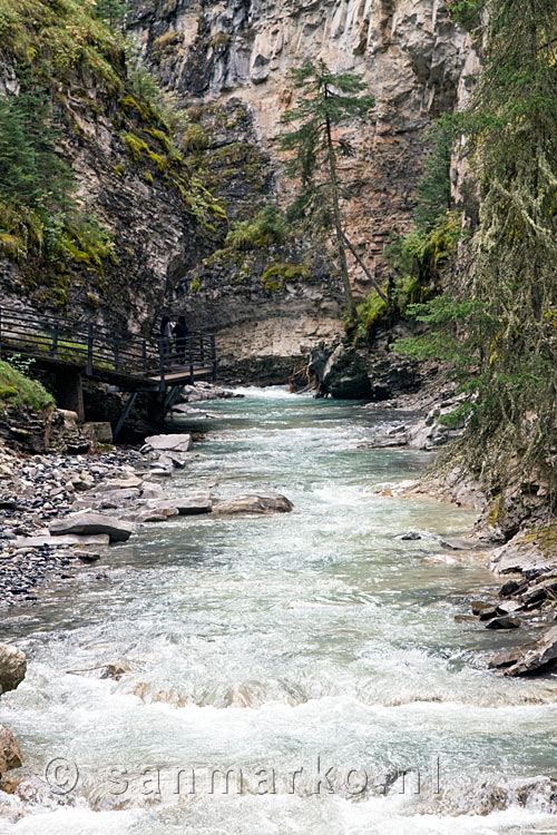 De snelstromende rivier door Johnston Canyon bij Banff