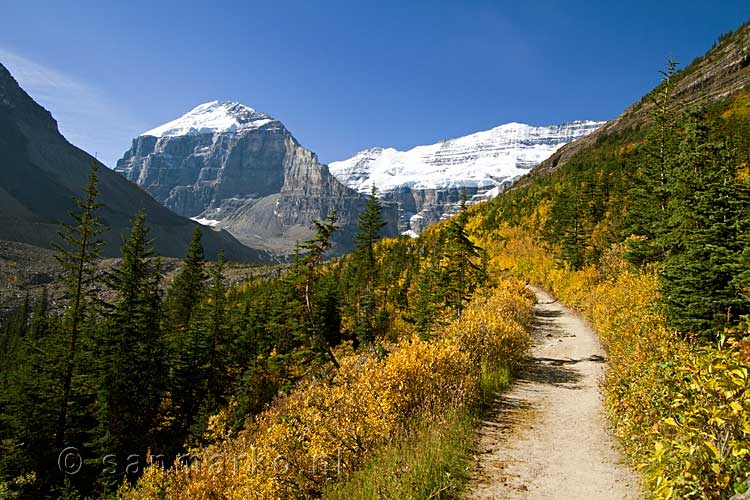 Het wandelpad bij Lake Louise richting the Plain of the Six Glaciers