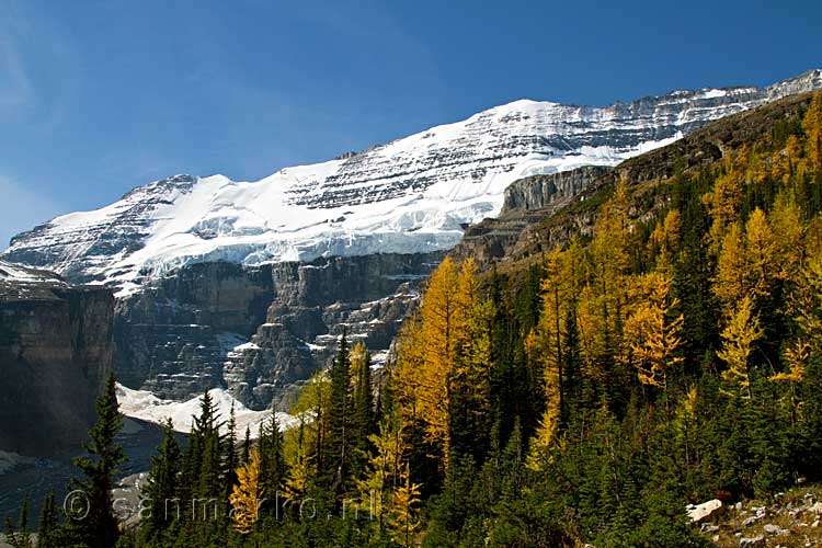 Vanaf het wandelpad naar Lake Agnes hebben we een mooi uitzicht op Mount Victoria